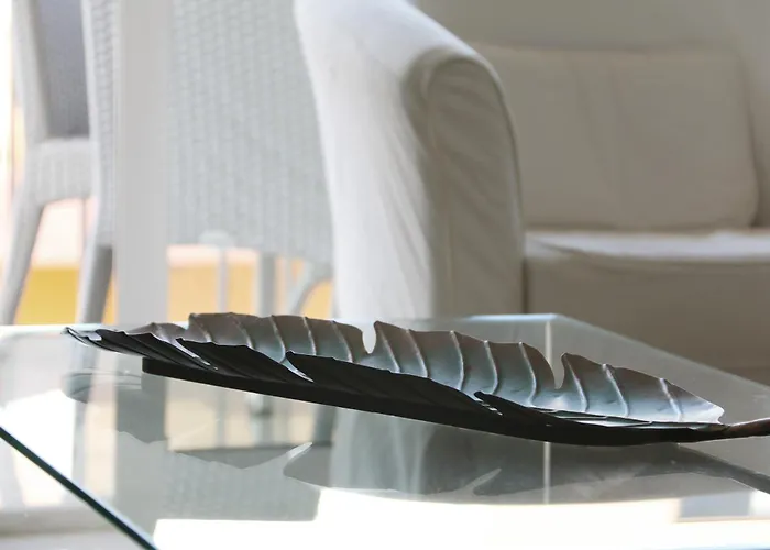 Playeros Membrillosuites Collection