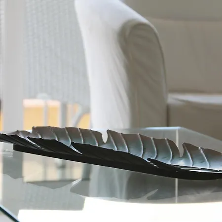 Playeros Membrillosuites Collection